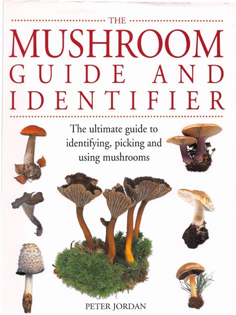 The Mushroom Guide and Identifier | Mushroom | Edible Fungi