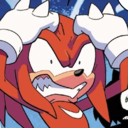 Knuckles 🥊 The IDW Comic Sonic the hedgehog icons sonic icons Shadow The Hedgehog, Sonic The ...