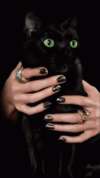 SCARY HALLOWEEN!!! †. Black cat Halloween Live Wallpaper, New Live Wallpaper, Live Wallpapers ...
