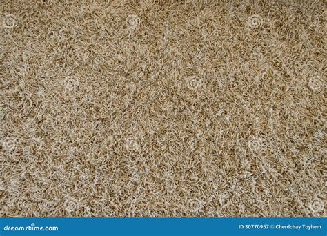 Long Pile Carpet Texture Royalty-Free Stock Photo | CartoonDealer.com ...