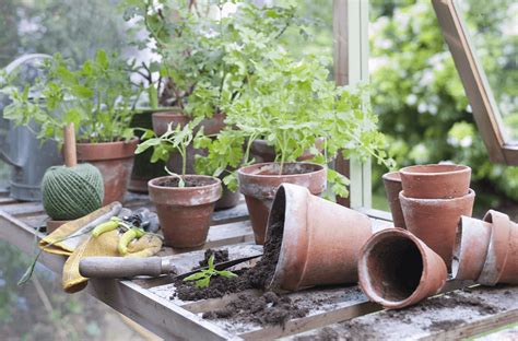 Ceramic Pots: Cleaning & Prepping for Fall Plantings | Platt Hill Nursery | Blog & Advice