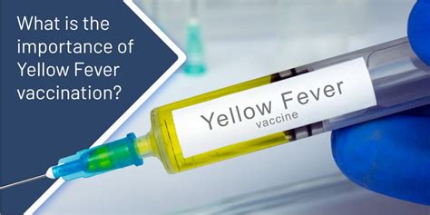 Yellow Fever Vaccination Northampton | Rugby | Touchwood Pharmacy