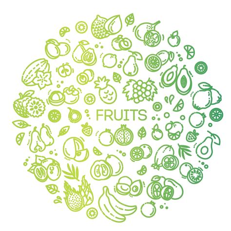 Premium Vector | Fruits doodle drawing collection vector illustration