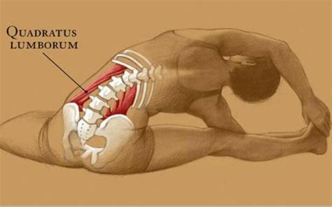 Quadratus Lumborum stretch | Dance Stuff | Pinterest