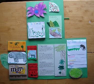 rainforest lapbook open | The lapbook opened fully More deta… | Flickr