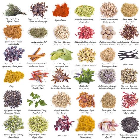 Spices set isolated on a white background stock image | Spices photography, Spices and herbs ...