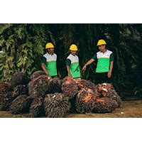 Kao | Kao Launches Grievance Mechanism for Indonesian Oil Palm Smallholders