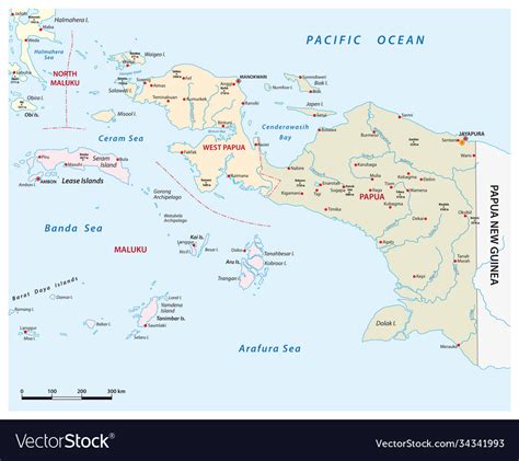 Map indonesian provinces papua west papua Vector Image