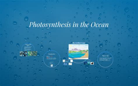 Photosynthesis in the Ocean by Kali White