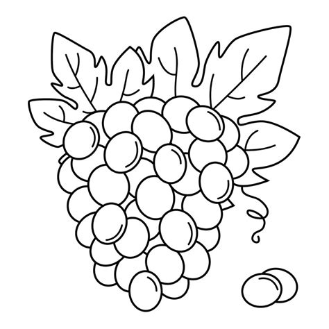 Premium Vector | Bunch of grapes. Black and white drawing of grapes ...