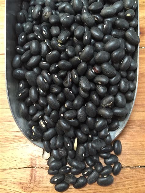 black turtle beans (organic, 100gm) – Rustic Pantry Wholefoods