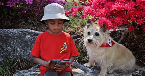 Therapy Dogs Help Children With Autism More Than We Thought | PetGuide