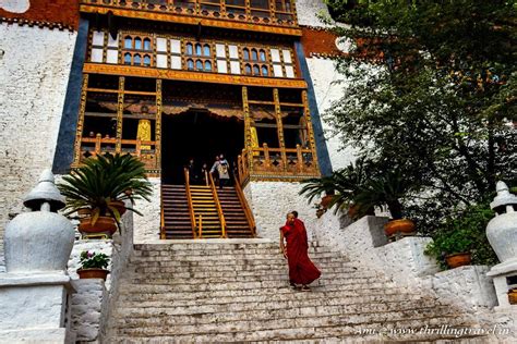 The Majestic Winter Capital of Bhutan - Punakha Dzong - Thrilling Travel