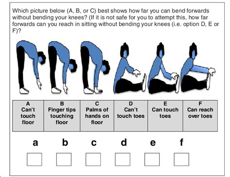 Self-report instrument for assessment of trunk flexion | Download ...