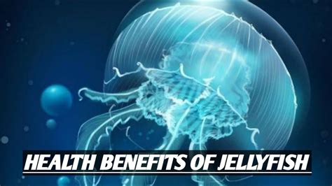 Shocking Health Benefits Of Jellyfish ! This is what eating jellyfish would do to your body ...