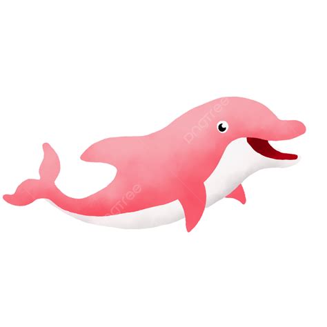 Pink Dolphin Cartoon For Children, Cartoon Clipart, Children Clipart ...