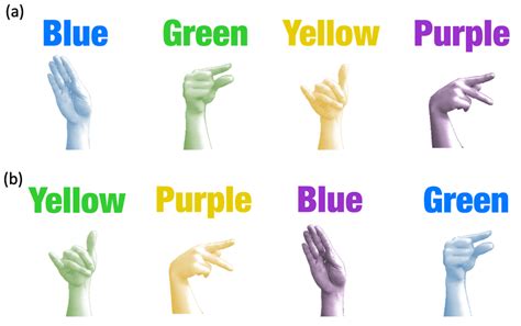 American Sign Language Colors