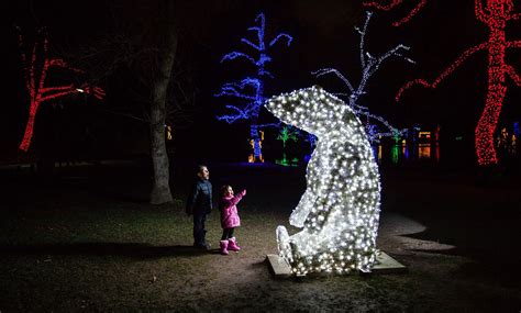 Winter Festival of Lights - Our Kids