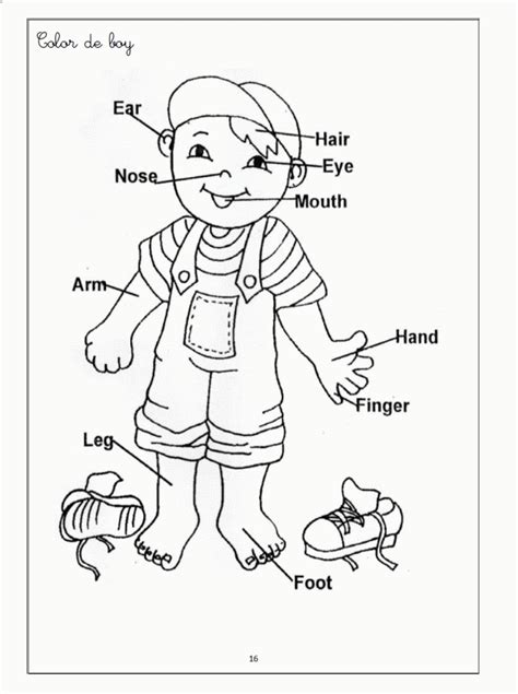 Printable Body Parts Coloring Pages