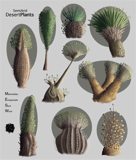 Semi-Arid Desert Plants - MESW by twistingdepths on DeviantArt