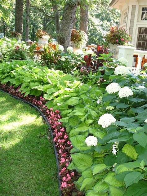 Hydrangea Garden Design - Image to u