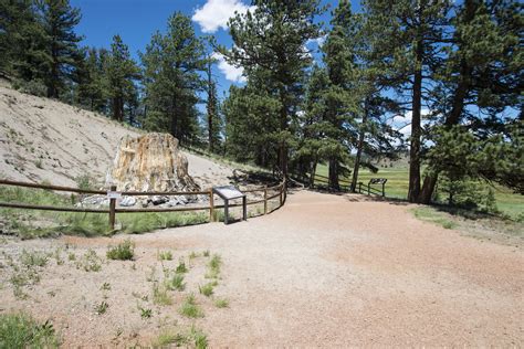 Petrified Forest Loop Trail | Outdoor Project