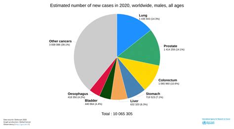 GLOBOCAN 2020: New Global Cancer Data | UICC