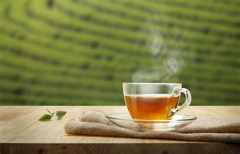 Top 10 Best Organic Tea Brands of 2022 — Loyal Organic