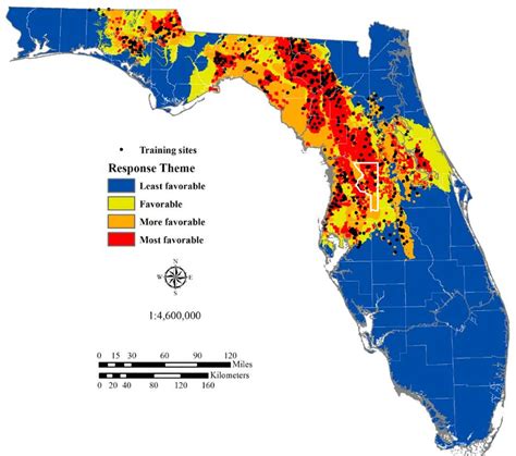 The Science Behind Florida’s Sinkhole Epidemic | Science | Smithsonian