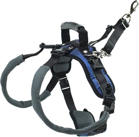 PetSafe CareLift Rear Handicapped Support Dog Harness, Large - Chewy.com