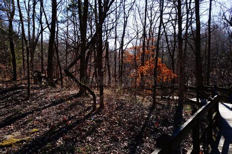 Fall Landscape in Missouri Park Along Nature Trail Stock Image - Image ...