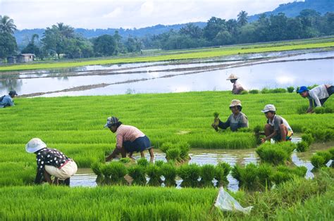 Farming, infra, interest rates top policy recommendations of MSMEs ...