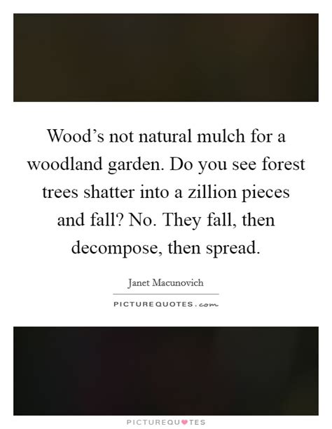 Woodland Quotes | Woodland Sayings | Woodland Picture Quotes