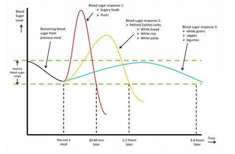 Different Carbohydrates And Their Effects on Blood Glucose