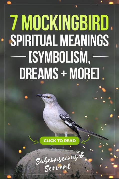 Mockingbird: The Amazing Symbolism & Meanings (Full Guide) - Subconscious Servant