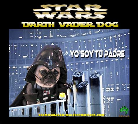 DARTH VADER DOG - Seamos Mas Animales Como Ellos - SMACE