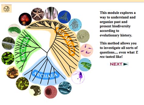 Evolution, Phylogenetic Trees, and Younger Audiences | Smithsonian Science Education Center