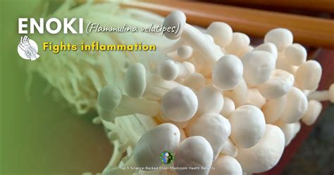 Enoki Mushroom Benefits & Nutrition Facts