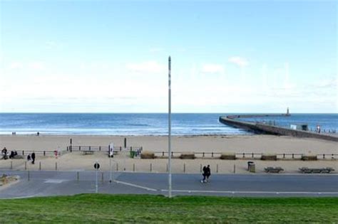 38929361-Dog exclusion zones on Sunderland beaches to remain following a public consultation ...