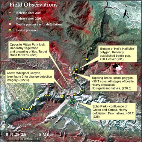 Map combining areas of beetle presence/defoliation, areas of interest ...