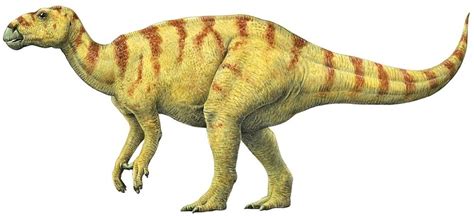 Art illustration - Dinosaurs - Iguanodon: is a genus of iguanodontids ...