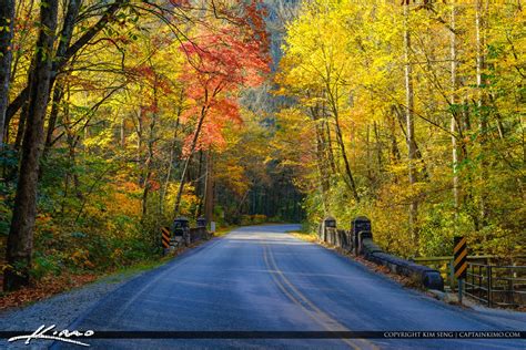 Bridge Fall Colors Blue Ridge Parkway Moore Cove Falls Trail Bre | Royal Stock Photo