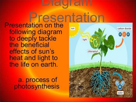 2. effects of the sun's heat and light