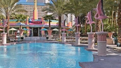 Flamingo Pool Las Vegas - Go Pool & Beach Pool Hours & Drink Prices