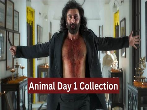 Animal Box Office Collection Day 1 Prediction Ranbir Kapoor Movie to Break Records ...