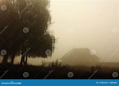 Morning fog landscape stock photo. Image of idyllic, landscape - 17262222