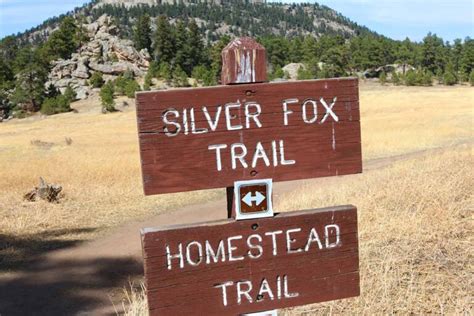 Top 3 Favorite Hikes in Evergreen Colorado (by a Local)