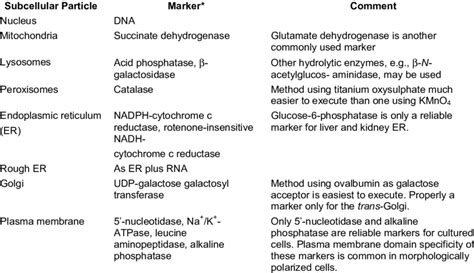 Chemical and Enzyme Markers for Subcellular Membranes | Download Table