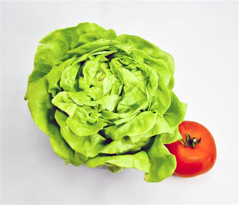 Butter Lettuce And Tomato Free Stock Photo - Public Domain Pictures