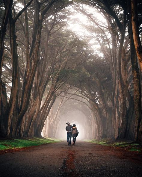 Cypress Tree Tunnel, Point Reyes, US (@idkpdx) Cypress Tree Tunnel ...